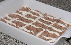Слой рыбы